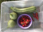 IMG_8745.JPG