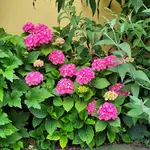 20210703_191658.webp
