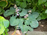 20210703_191548.webp