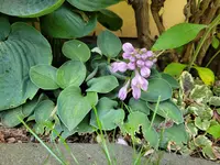 20210703_191621.webp