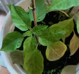 WhatsApp Image 2021-07-04 at 17.23.00.webp