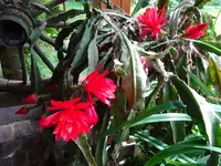 DSC01889.webp