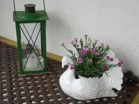 DSC01887.webp