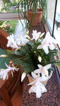 20210704_094308.jpg