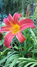 20210703_170732.webp