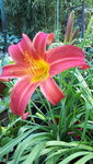 20210703_170732.jpg