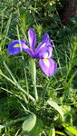 20210703_191829.jpg