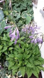 20210704_135805.webp
