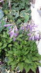 20210704_135805.jpg