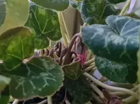 20210704_203821.jpg