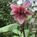 IMG_8758.JPG