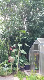 20210704_064854.webp