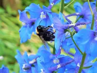 DSCF4830 (2).webp