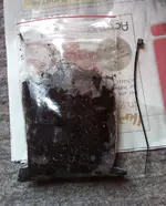 Erdbeervermehrung 1.jpg Erdbeervermehrung 1.jpg