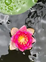IMG-20210705-WA0001.webp