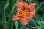 DSC00083.JPG