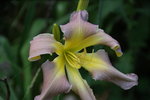 DSC00086.JPG