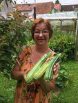 Zucchiniernte.JPG