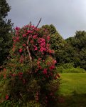 IMG_20210706_1737477-01.jpeg