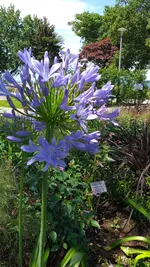 20210706_123206.webp