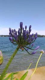 20210706_122414.webp