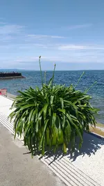 20210706_122221.webp