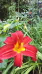 20210706_175943.jpg