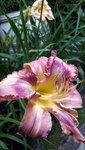 20210706_180754.jpg
