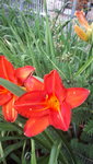20210706_180111.jpg