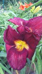 20210706_180230.jpg