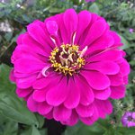 IMG_8791.JPG