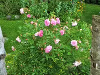 DSCF4857 (2).webp