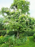 DSCF4856 (2).webp