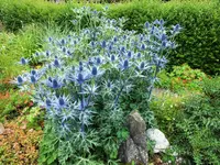 DSCF4849 (2).webp