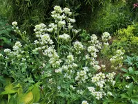DSCF4853 (2).webp