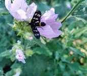 IMG_20210706_155329.webp