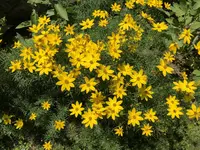 F73564E5-5876-46D8-9CB4-EC872C35BC1E.webp
