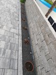 20210529_191611.jpg