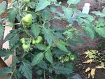 IMG_8836.JPG