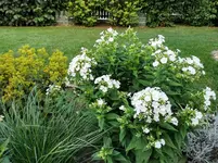 IMG_20210707_192323.webp