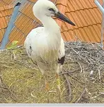 Bild2.webp
