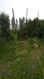 20210708_110539.webp