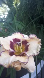 20210708_201336.webp