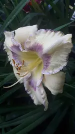 20210708_201258.webp