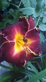 20210708_201318.webp