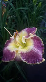 20210708_201417.webp