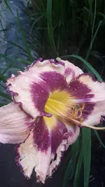 20210708_201354.webp
