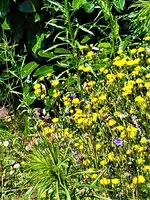 IMG_20210703_113106_3.jpg