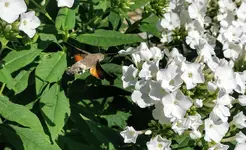 IMG_20210710_100658.webp