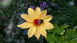 DSC_0114 (4).webp